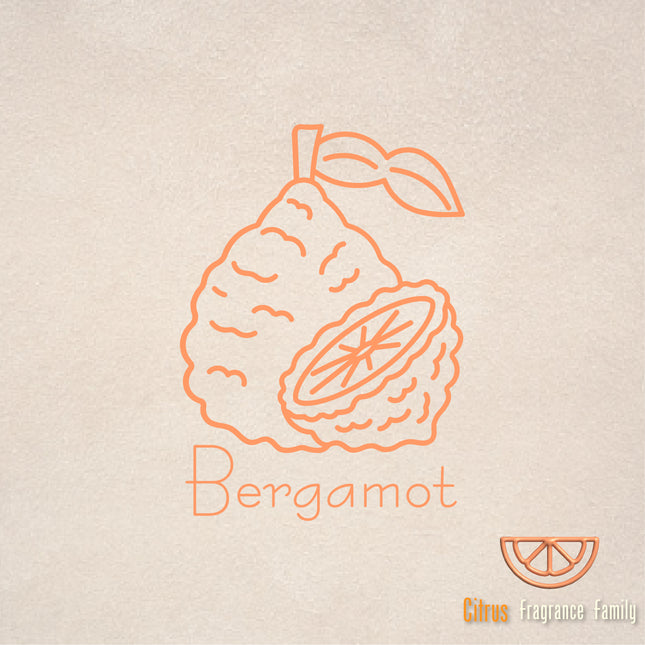 Pure Essential Oil - Bergamot