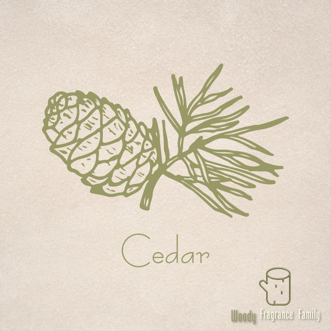 Pure Essential Oil - Cedarwood