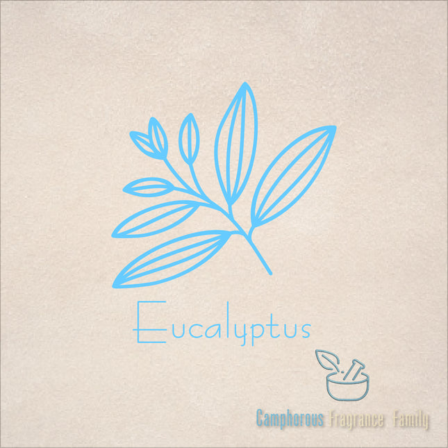 Pure Essential Oil - Eucalyptus