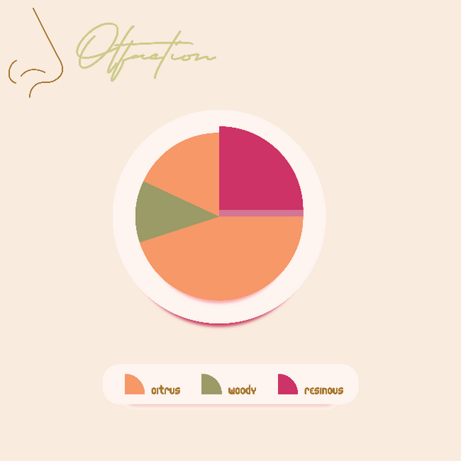 Essential Oil Blend - Inspiration