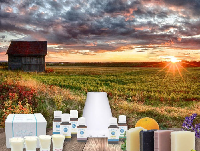 canadian prarie sunrise backdrop with a table of products