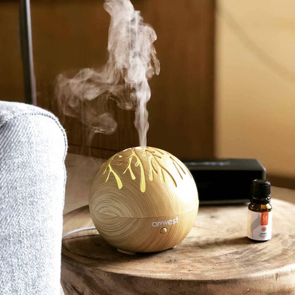 Willow USB Aroma Diffuser