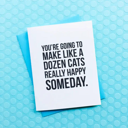 A Dozen Cats Sarcastic Greeting Card