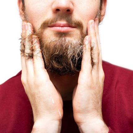 The Fundamental Beard and Moustache Facial