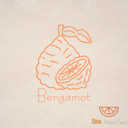 Pure Essential Oil - Bergamot