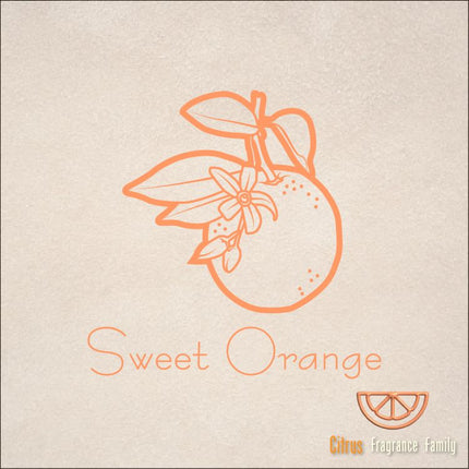 Pure Essential Oil - Sweet Orange