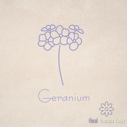 Pure Essential Oil - Geranium