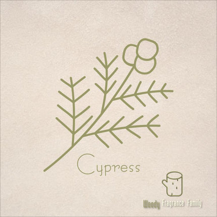 Pure Essential Oil - Cypress