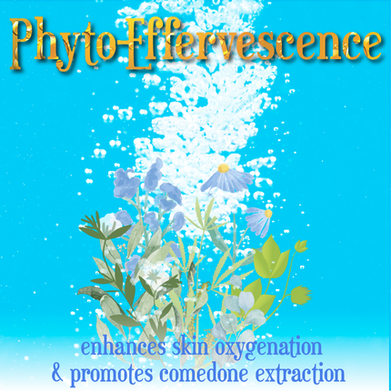 The Phyto-Effervescent Extractor